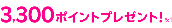 3,300ポイントプレゼント!※1